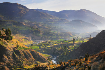 Fotobehang Canyon Ochtendmist boven Colca Canyon Peru  © donyanedomam