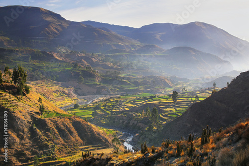 View of Colca Canyon with morning fog in Peru