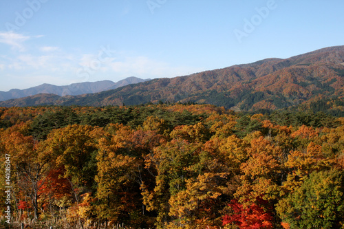 紅葉した山