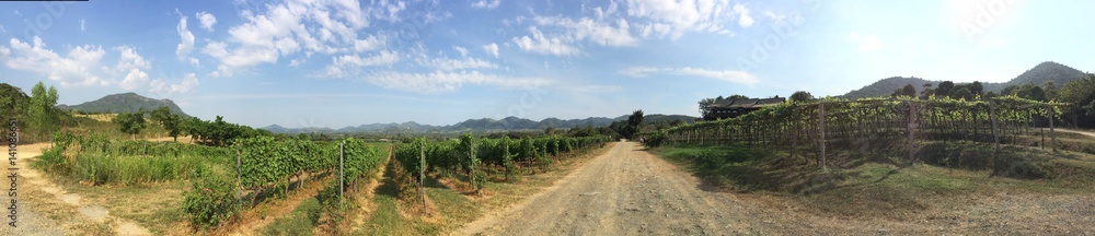 Paranomic view of Winery