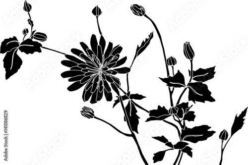 Black and white cutout wildflower illustration. Vector has transparent background.