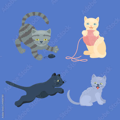Cat breed cute kitten pet portrait fluffy young adorable cartoon animal and pretty fun play feline sitting mammal domestic kitty vector illustration.