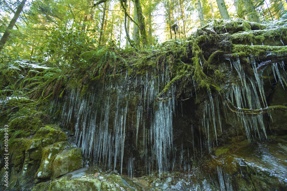 Fototapeta premium Pacific North West Landscapes Mountains and Forest
