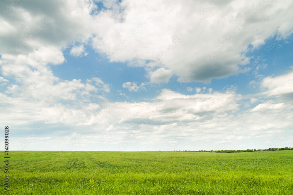 White clouds over a green field in clear weather White clouds over a green field in clear weather