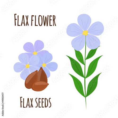 Flax flower, seeds. Vegetarian food, natural linen. Cartoon flat style.