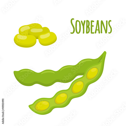 Soybean set. Beans, capsule of soya. Vegetarian healthy food.