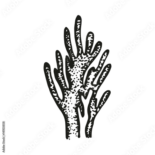 Coral sketch vector isolated