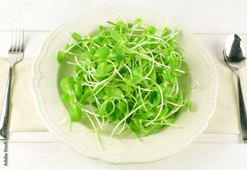 organic sunflower sprouts isolated on white background