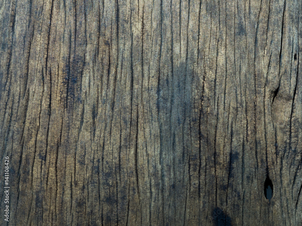 Fototapeta premium Old wood texture