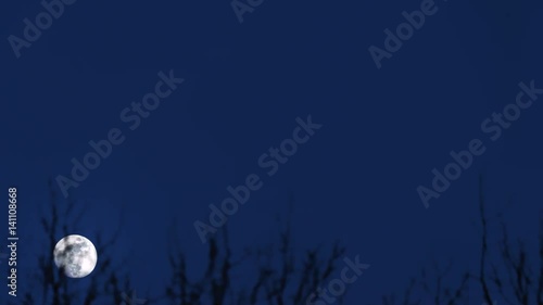 the movement of the moon over the trees