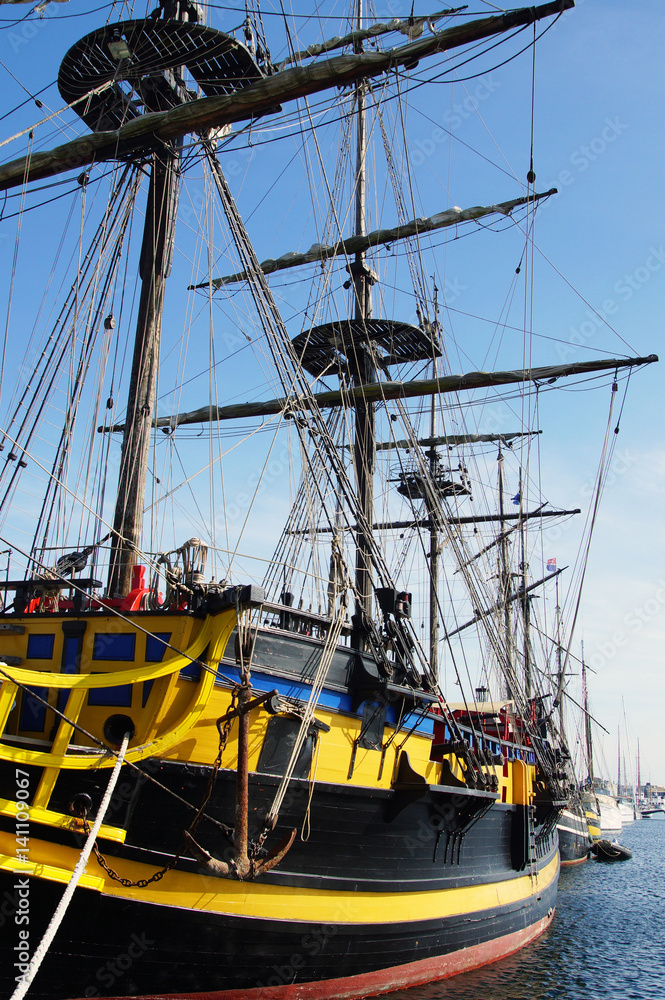 Obraz premium Frégate Etoile du Roy