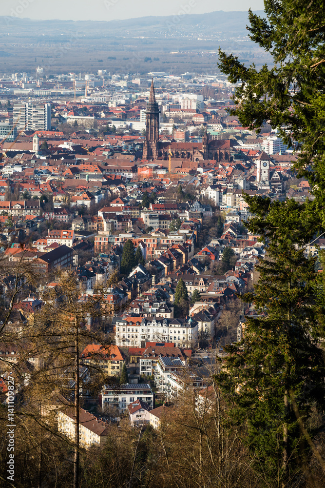 Freiburg Im Breisgau City Skyline Altstadt