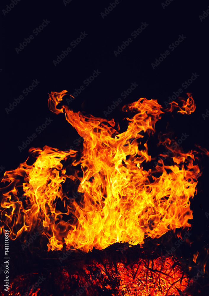 Obraz premium fire in the forest at night