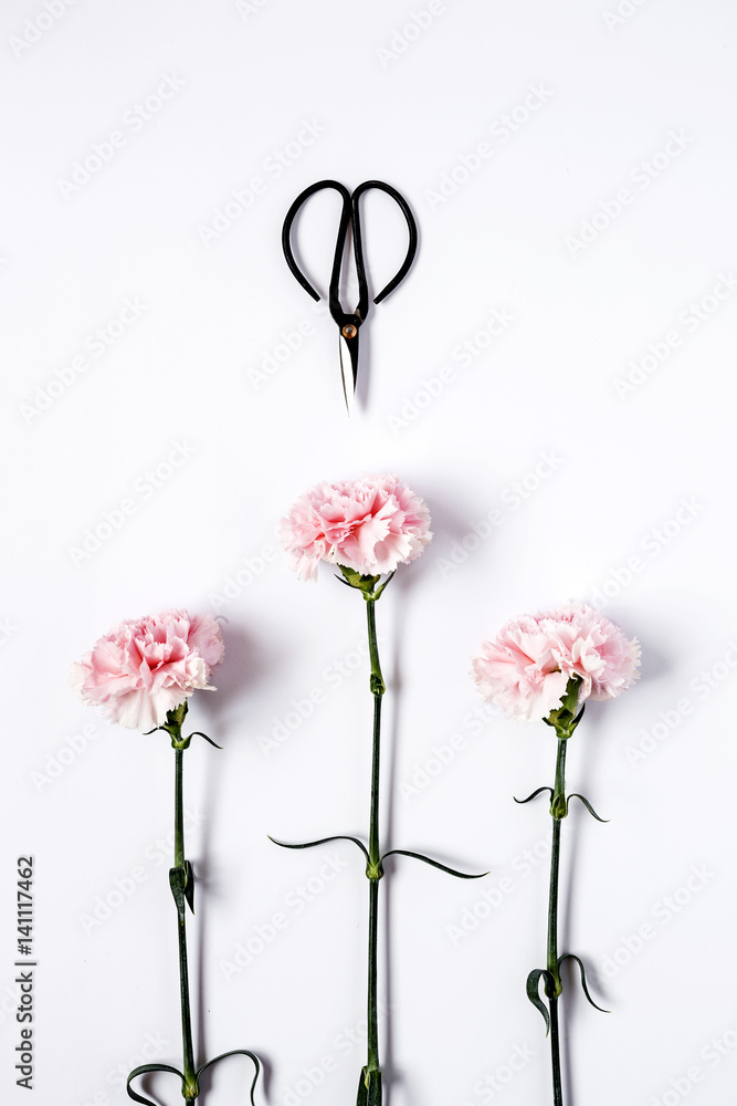 Flowers on white background. Flat lay, top view Flowers on white background. Flat lay, top view