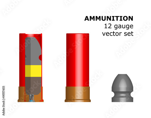 12 caliber cartridge on white background. The circuit structure of the munition. Vector illustration. Design element. The bullet, liner, powder, wad, capsules. Ammunition for hunting.