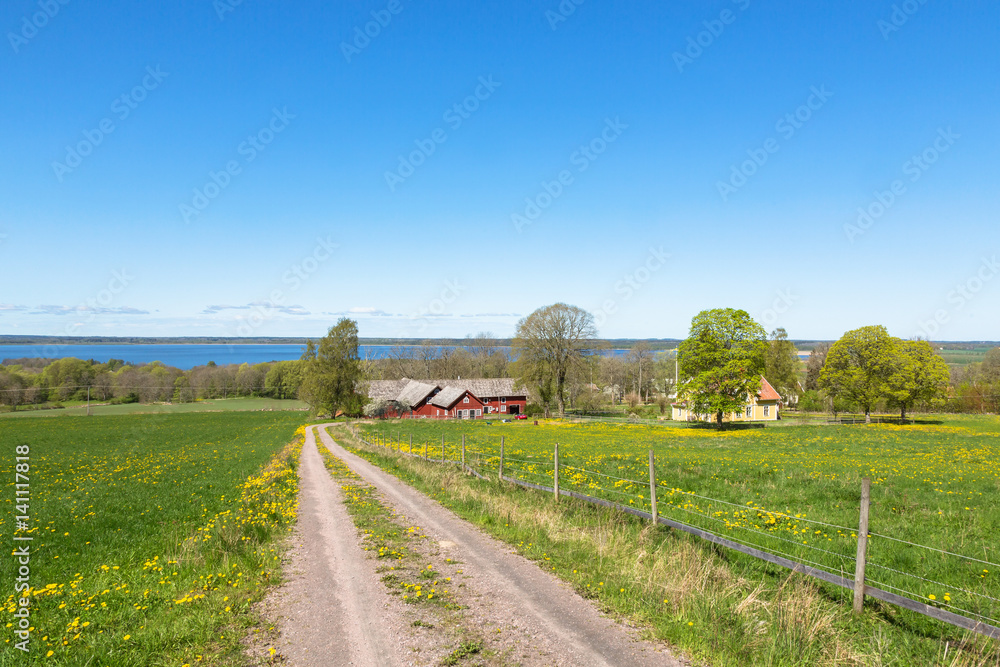Dirt road to a farm with a view of a lake