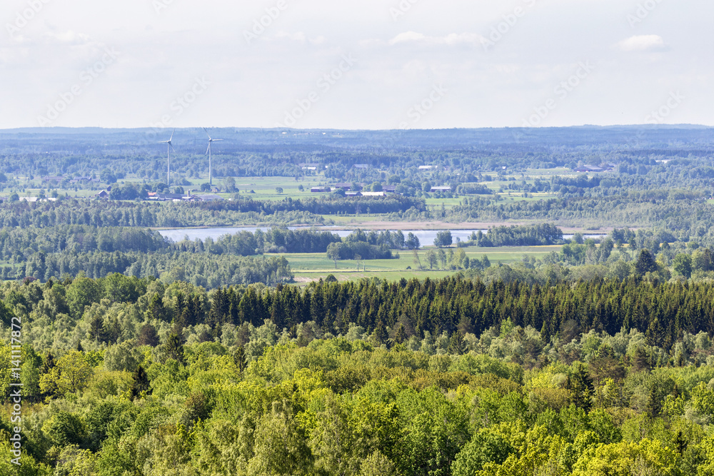 View of forest and lake scenery in the summer