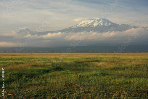 Kilimandjaro - Parc Amboseli