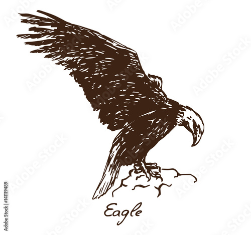 Eagle sitting on the rock, with inscription, hand drawn doodle, sketch in pop art style, vector illustration