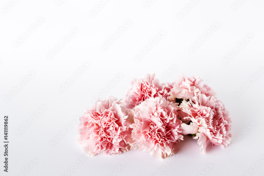Flowers on white background. Flat lay, top view Flowers on white background. Flat lay, top view