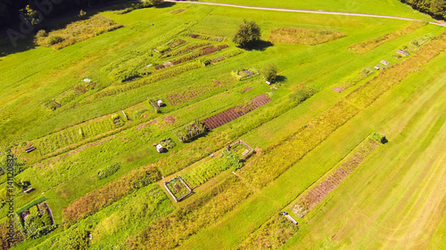 Aerial View Of A Small Gardens