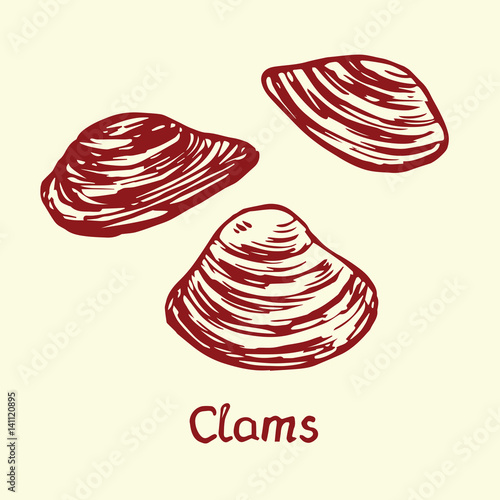 Clams, with inscription, hand drawn doodle, sketch in pop art style, isolated vector illustration