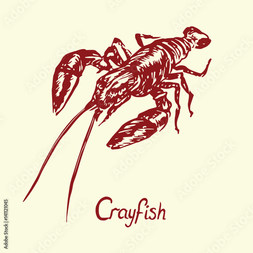 Crayfish, with inscription, hand drawn doodle, sketch in pop art style, isolated vector illustration