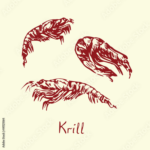 Krill, with inscription, hand drawn doodle, sketch in pop art style, isolated vector illustration