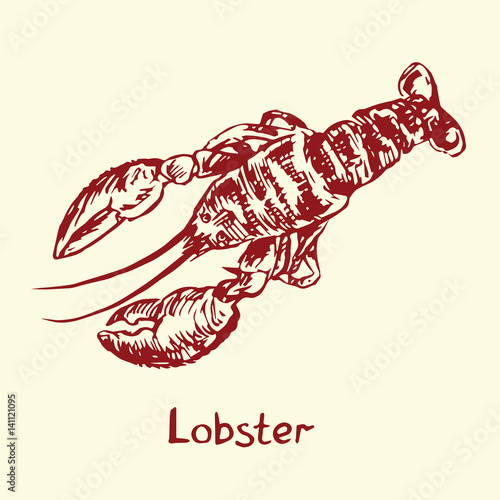 Lobster, with inscription, hand drawn doodle, sketch in pop art style, isolated vector illustration