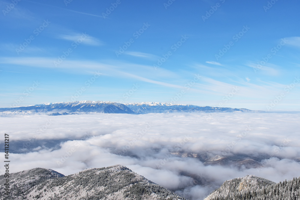 Obraz premium Winter landscape with fir trees forest covered by heavy snow in Postavaru mountain, Poiana Brasov resort, Romania