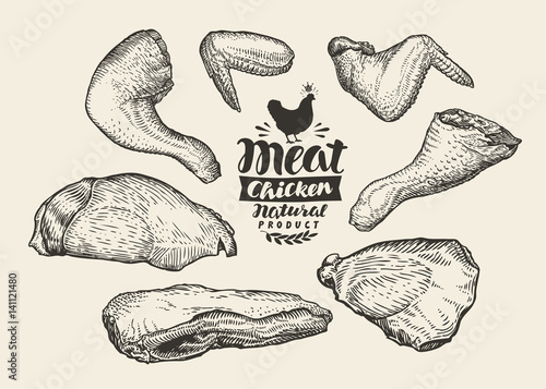 Butcher shop. Cuts, chicken meat, sketch. Food, vector illustration