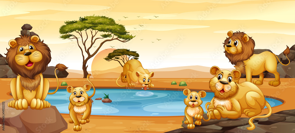 Naklejka premium Lions living by the pond
