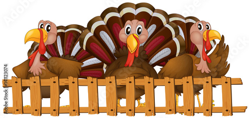 Three turkeys behind the fence