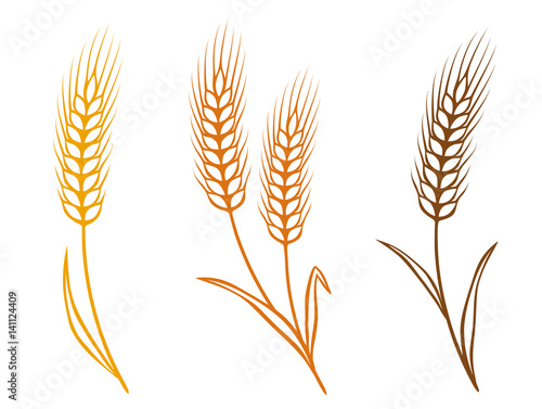 colorful wheat