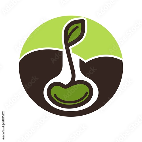 Green plant growing from seed isolated on white background