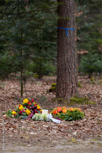 Friedwald,Ruhewald, Beerdigung im Wald