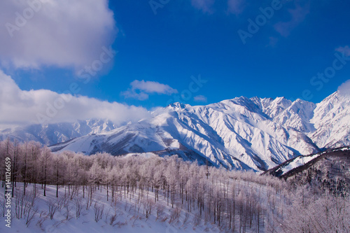 長野県の雪景色