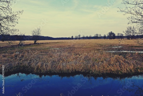 Wassergraben im Mönchbruch photo