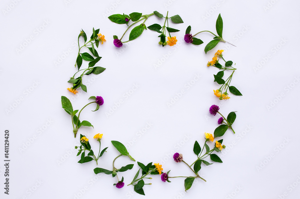 Frame Colorful bright pattern of meadow herbs and flowers on white background. Flat lay, top view.