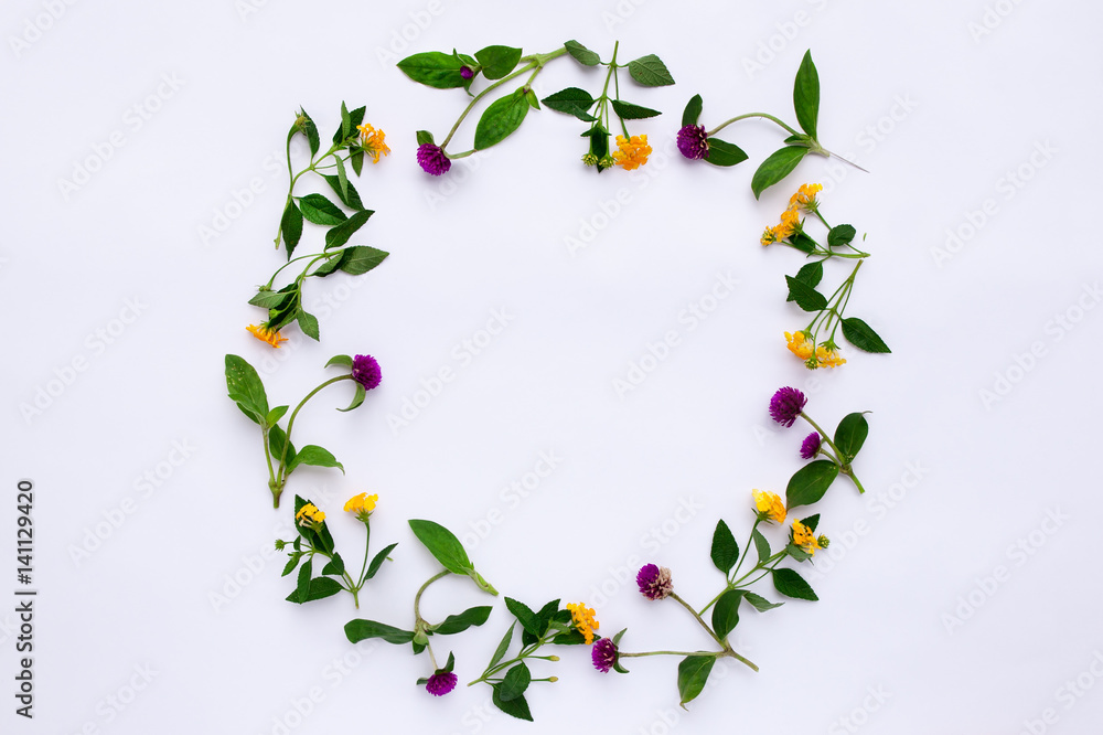 Fototapeta premium Frame Colorful bright pattern of meadow herbs and flowers on white background. Flat lay, top view.