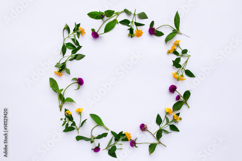 Frame Colorful bright pattern of meadow herbs and flowers on white background. Flat lay, top view.