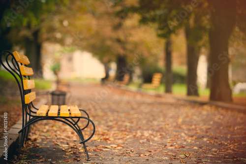 Slika na platnu photo of beautiful autumn park full of benches and folliage in wonderful Wroclaw