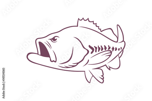 bass fish