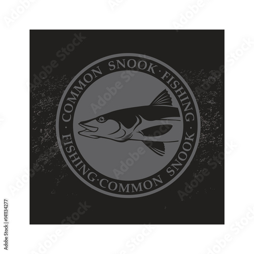 Common snook fish photo