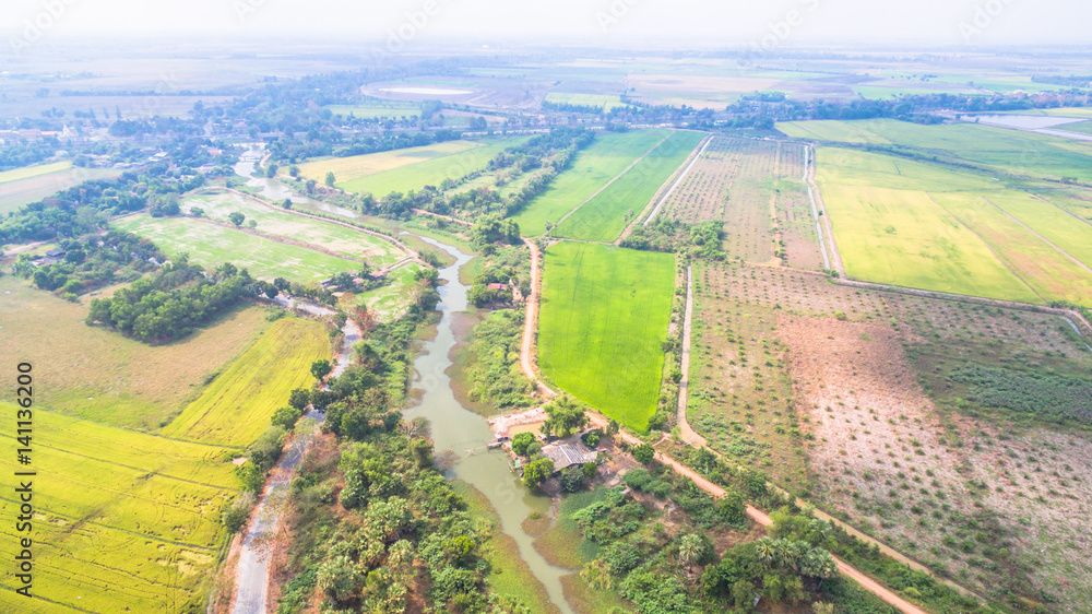 water from dam use for grown rice