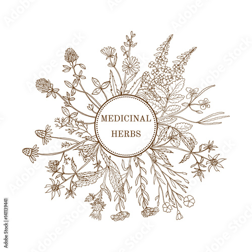 Vintage collection of medical herbs