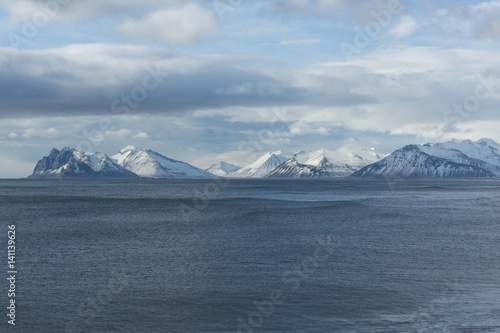 coastline of Iceland