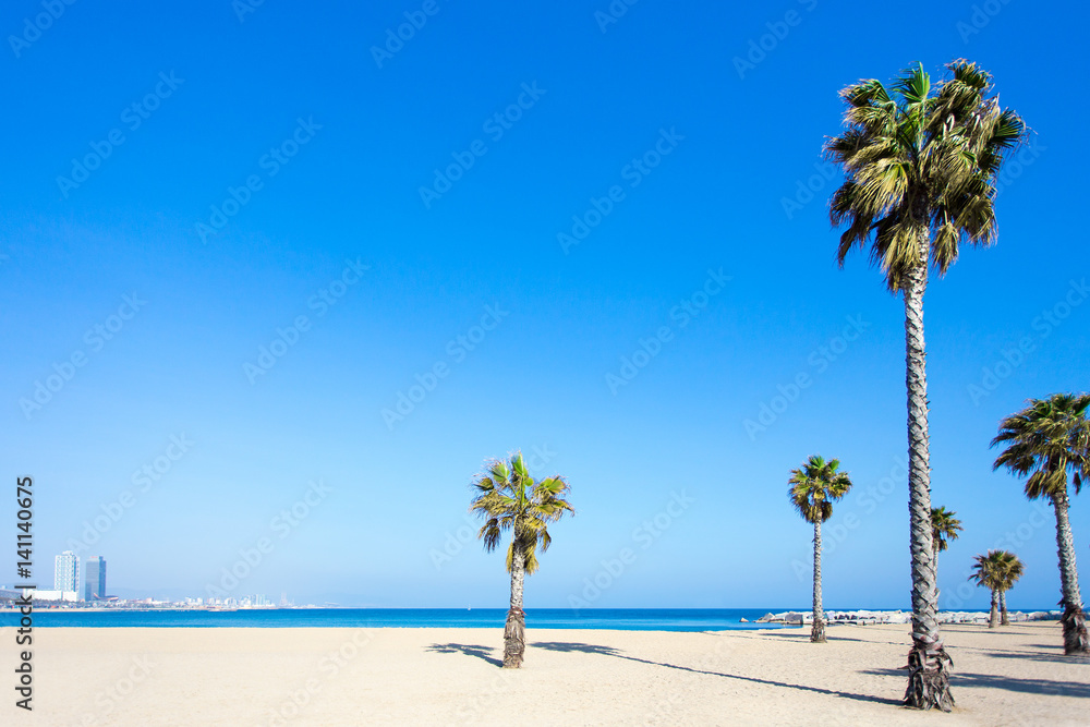 summer, vacation and travel concept - palm trees on sandy beach in Barcelona