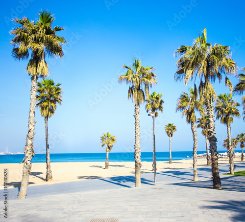summer background - promenade, beach and palms