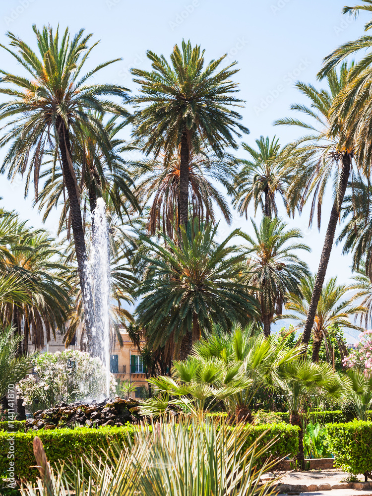 green palms in public garden Villa Bonanno